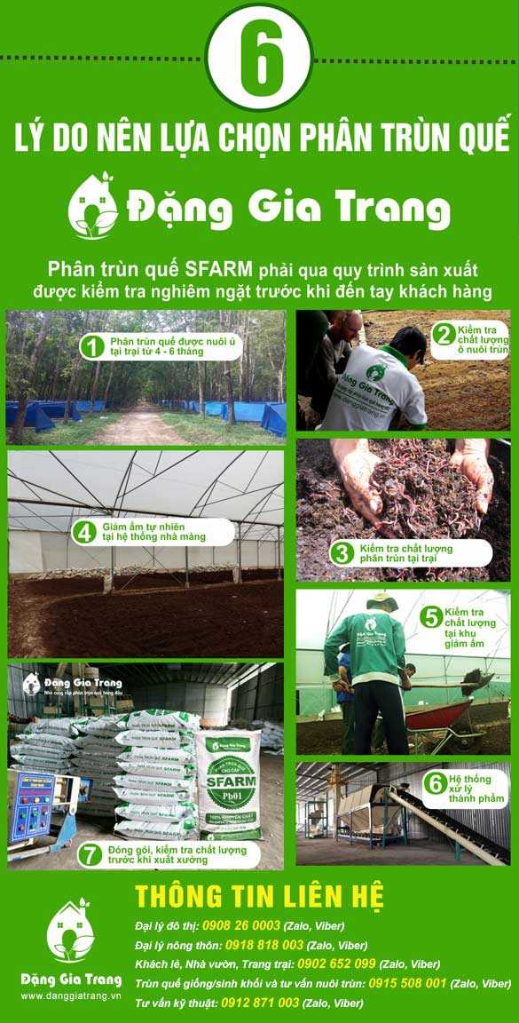Vì sao nên chọn phân trùn quế Sfarm