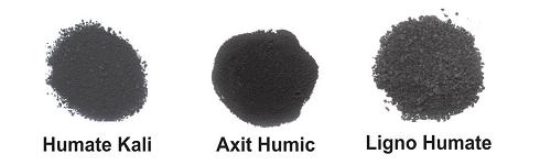 1 axit humic