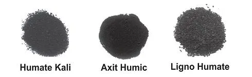 1 axit humic