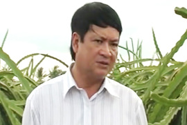 TS-Mai-Thanh-Phung-phan-trun-que-sfarm