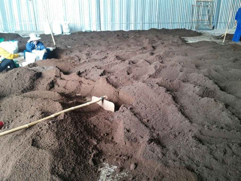 Tiềm năng của nghề nuôi trùn