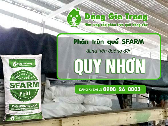 phan-trun-que-sfarm-container-di-QUY-NHON-6