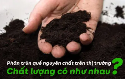 chat-luong-phan-trun-que-nguyen-chat-co-nhu-nhau