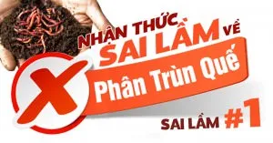 nhan-thuc-sai-lam-ve-phan-trun-que-1