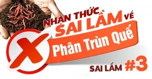nhan-thuc-sai-lam-ve-phan-trun-que-3