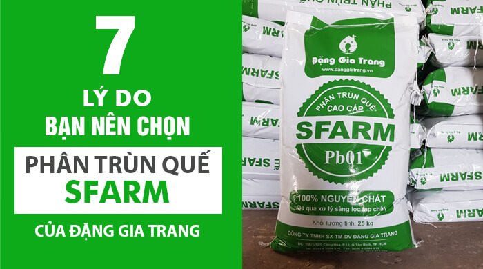 Dgt 7 Ly Do Nen Chon Phan Trun Que Sfarm 1 1 Copy