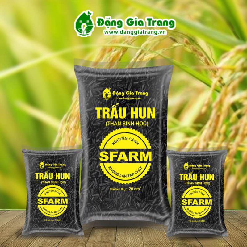Trấu hun Sfarm