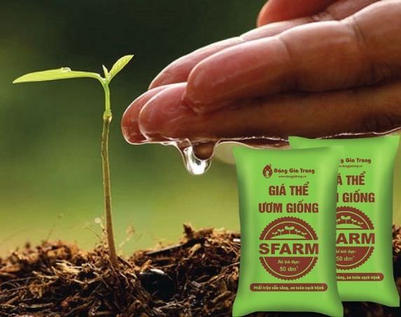 Mua giá thể ươm giống SFARM ở đâu