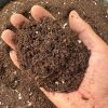 (Giá thể ươm giống SFARM đã được phối trộn sẵn, an toàn sạch bệnh)