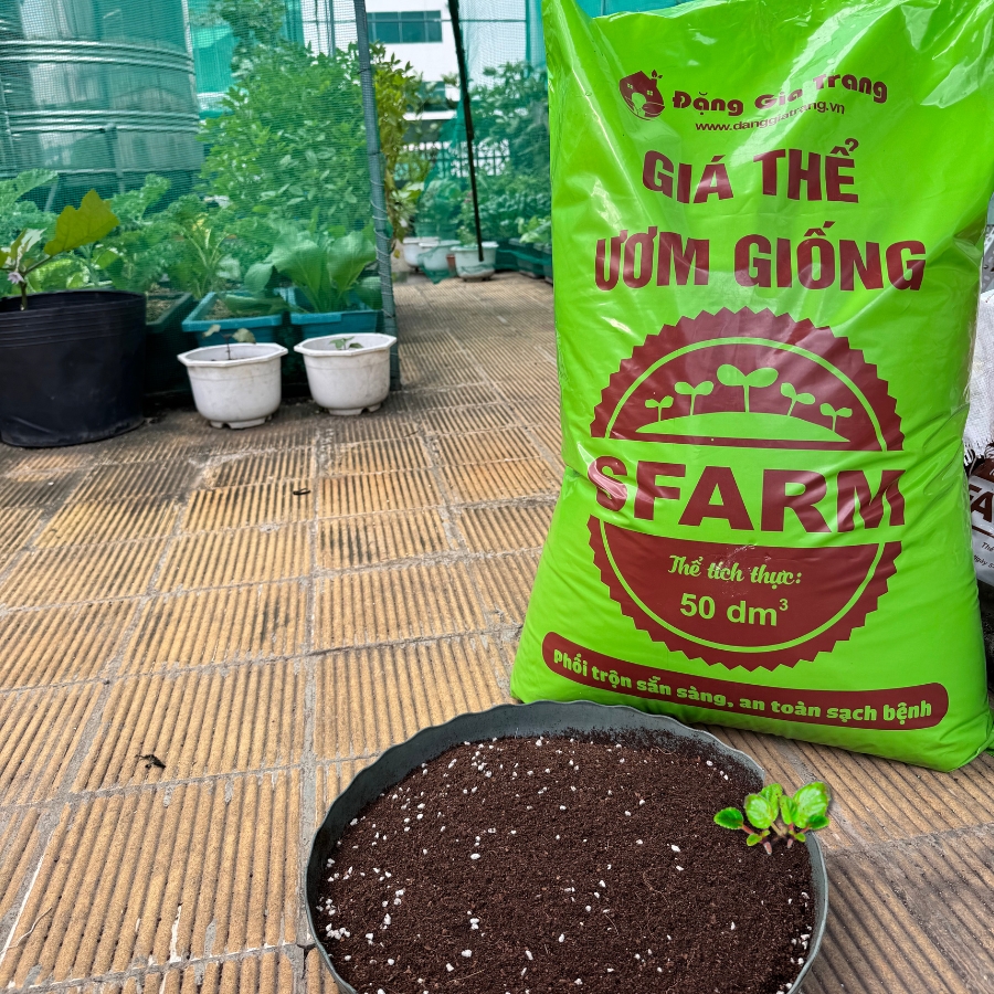 Giá thể ươm giống SFARM