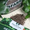 Gia The Kieng La Sfarm Sfarm.vn