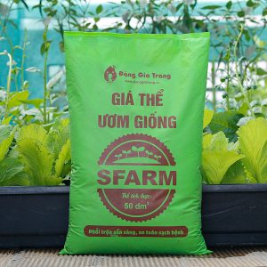 Gia The Uom Giong Sfarm 2