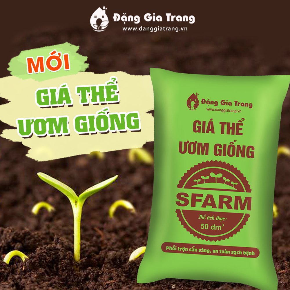 Gia The Uom Giong