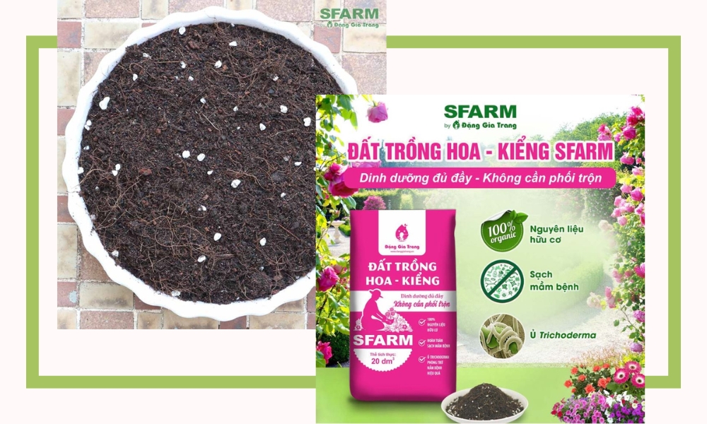 SFARM cung cấp sỉ đất trồng hoa kiểng chất lượng