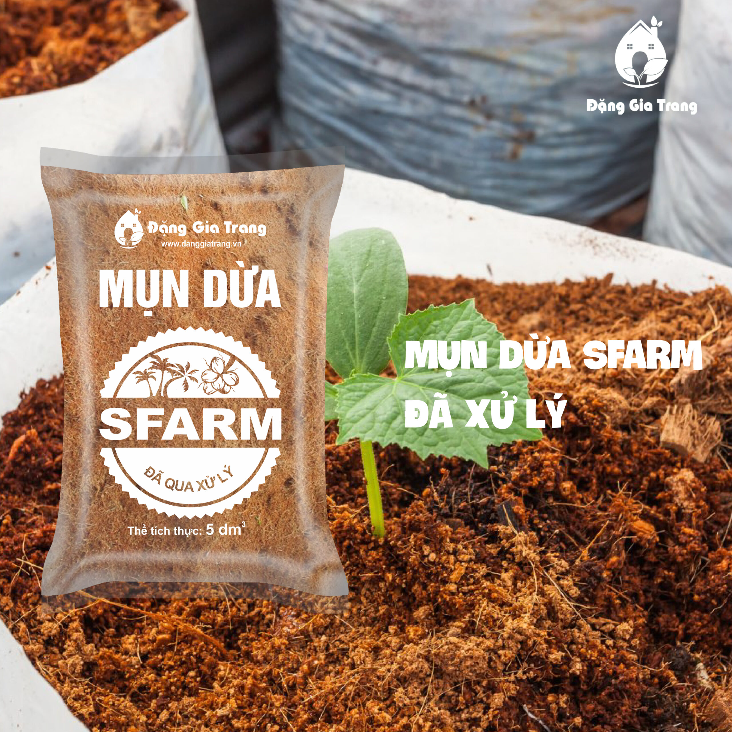 Mun Dua Sfarm Da Xu Ly Sfarm.vn 01