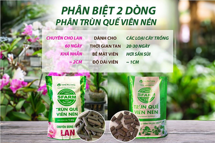 Phan Biet 2 Dong Phan Trun Que Vien Nen Sfarm 2
