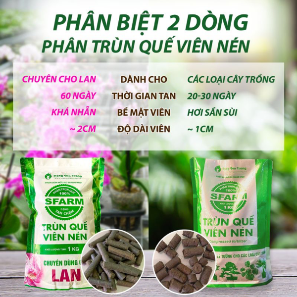 Phan Biet 2 Dong Phan Trun Que Vien Nen Sfarm
