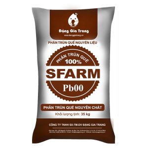 Mặt trước PB00