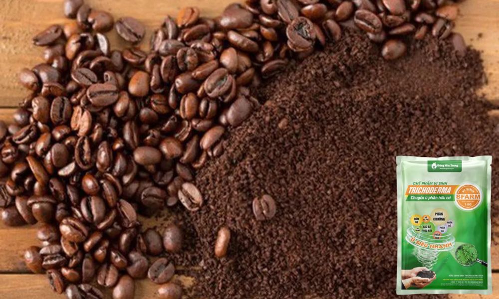 Cách sử dụng bã cà phê bón cây an toàn và hiệu quả