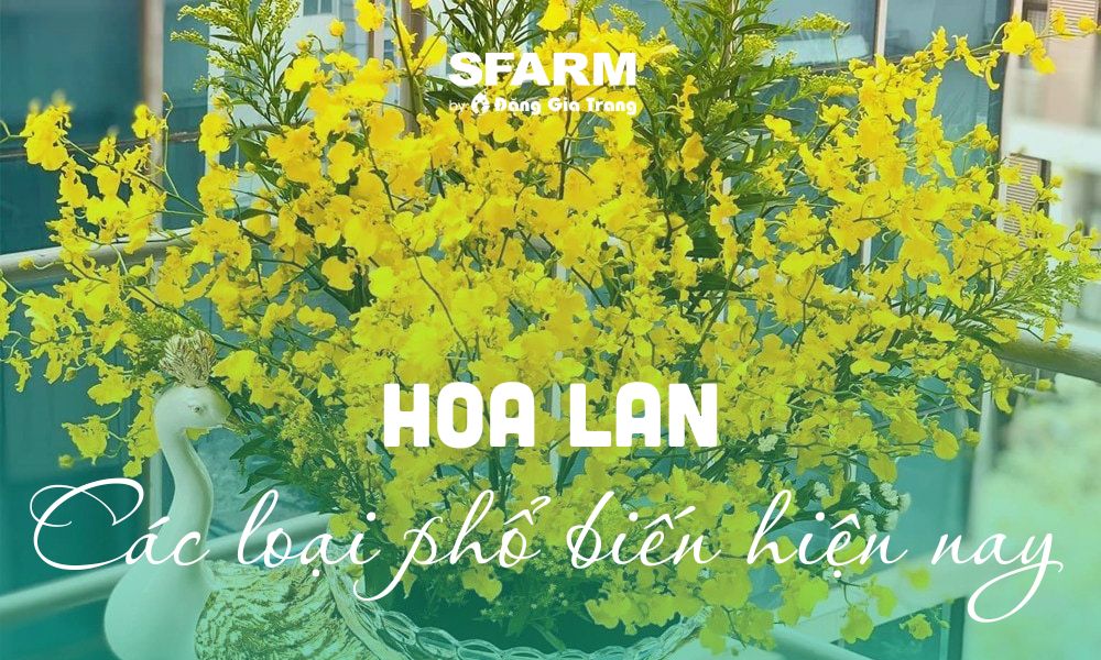 Các mẫu hoa đá pha lê đẹp nhất 