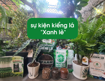 Sfarm.vn 02 02 Sfarm.vn 02 02
