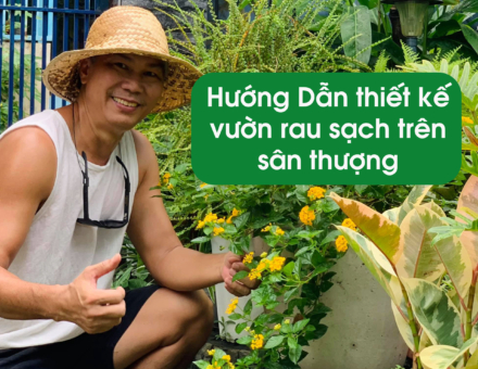 Sfarm.vn 02 03 Sfarm.vn 02 03
