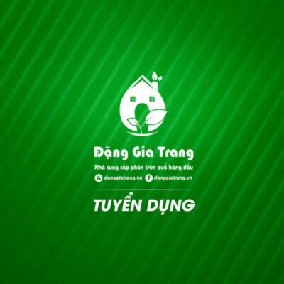 Tuyen Dung Dgt 600x600