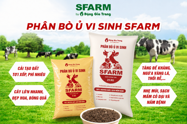 (Ưu điểm Phân bò hữu cơ vi sinh SFARM)