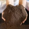 (Cận cảnh chất sản phẩm Phân bò hữu cơ vi sinh SFARM được ủ hoai)