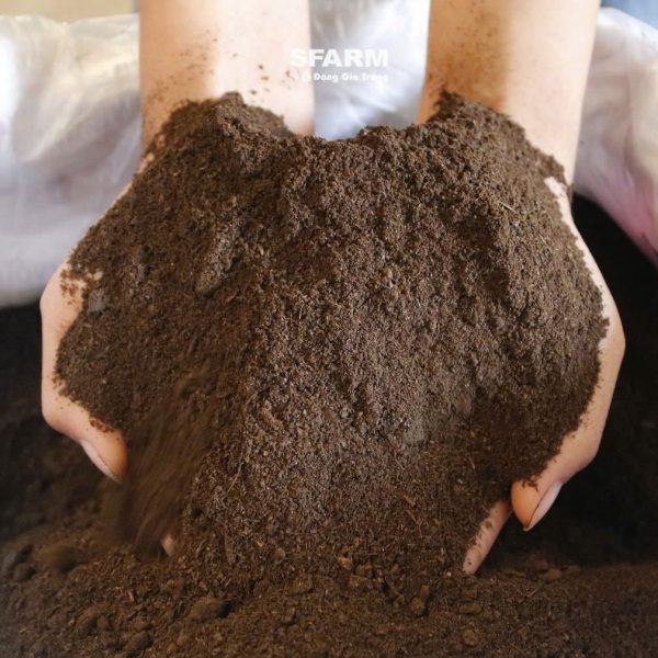 (Cận cảnh chất sản phẩm Phân bò hữu cơ vi sinh SFARM được ủ hoai)