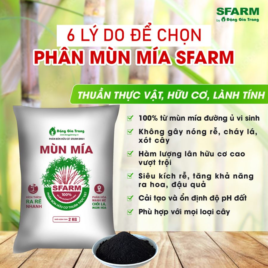 Phan Mun Mia Sfarm 2kg Moi