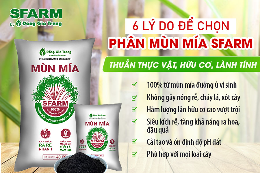 Phan Mun Mia Sfarm Ly Do Nen Chon Cn