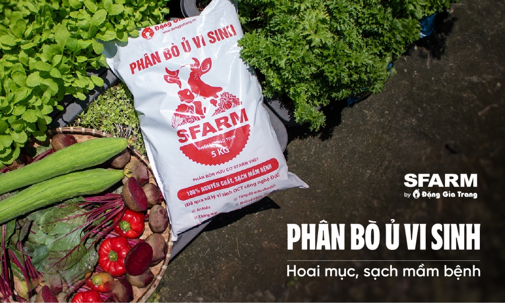 Phân bò giúp cây trồng khỏe mạnh và xanh tươi