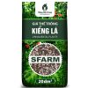 Giá thể trồng kiểng lá SFARM (mặt trước)