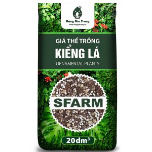 Giá thể trồng kiểng lá SFARM (mặt trước)