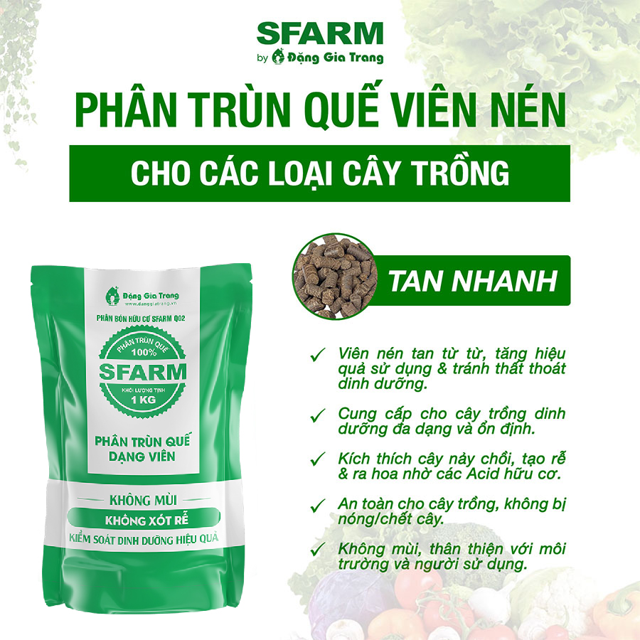 Phân trùn quế dạng viên nén cho cây trồng SFARM - Ảnh 5