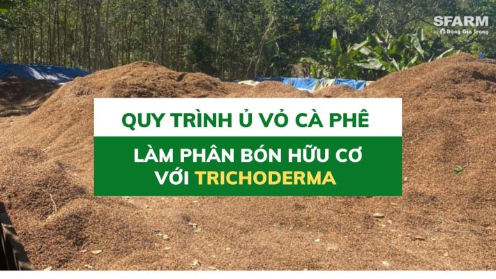 U Vo Ca Phe Bang Nam Trichoderma Sfarm