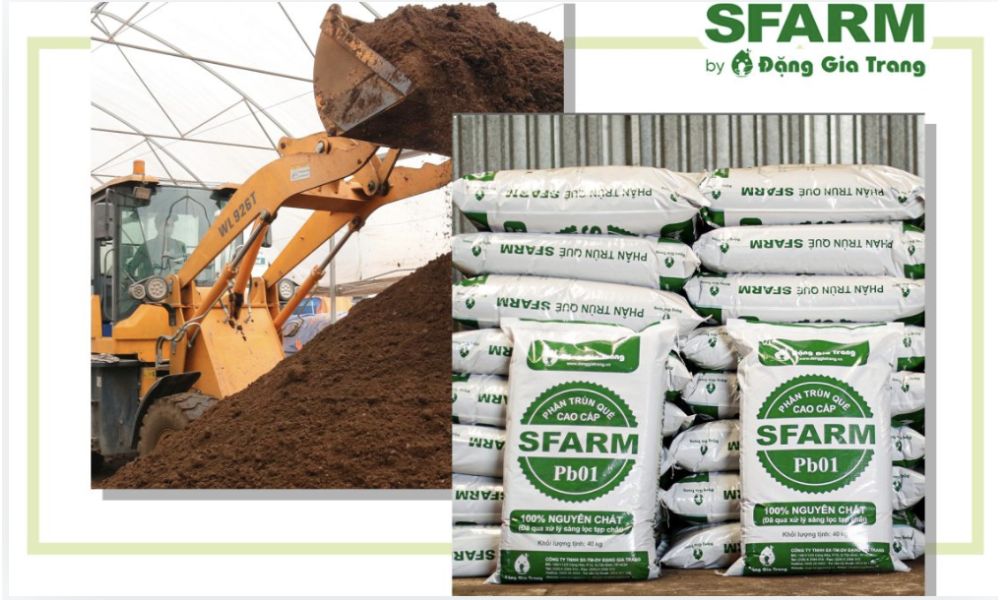 SFARM là đơn vị chuyên cung cấp các sản phẩm phân bón hữu cơ uy tín