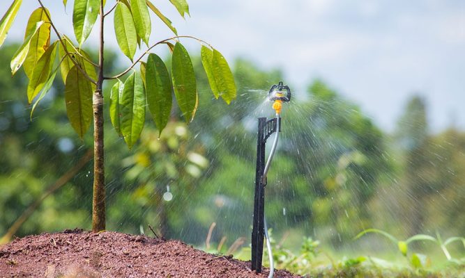 Hệ thống tưới nước tự động