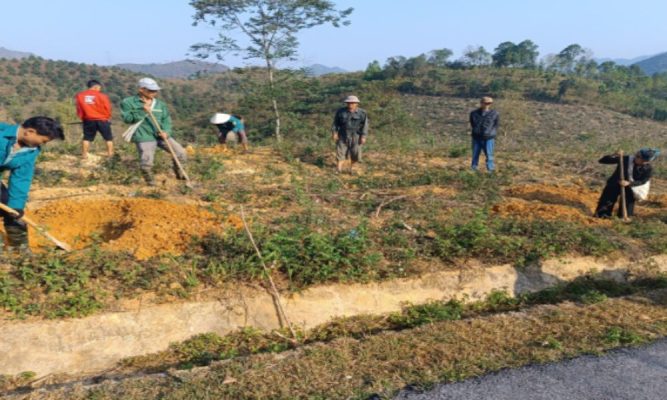 Đào hố to để rễ cây có thể sinh trưởng và phát triển tốt