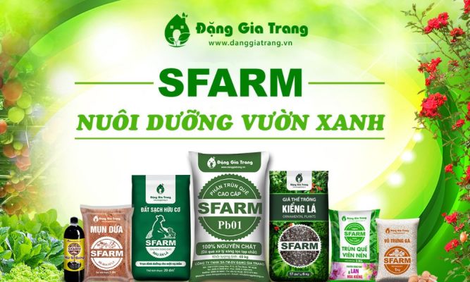 Top đại lý phân bón tại TP Hồ Chí Minh