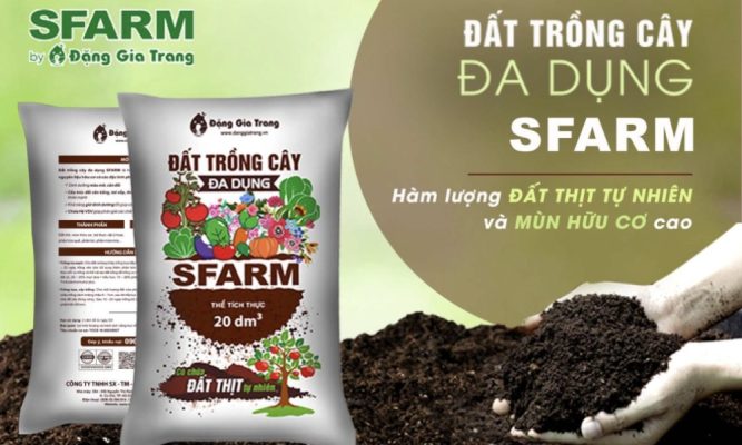 Đất SFARM chứa hàm lượng đất thịt, mùn hữu cơ