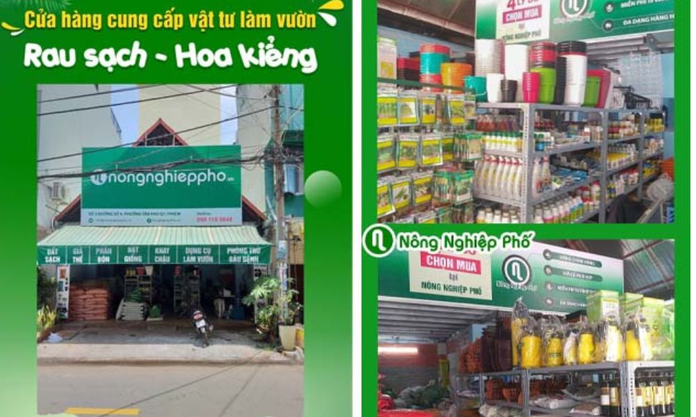 Nông Nghiệp Phố là chỗ bán đất trồng cây với giá cả phải chăng