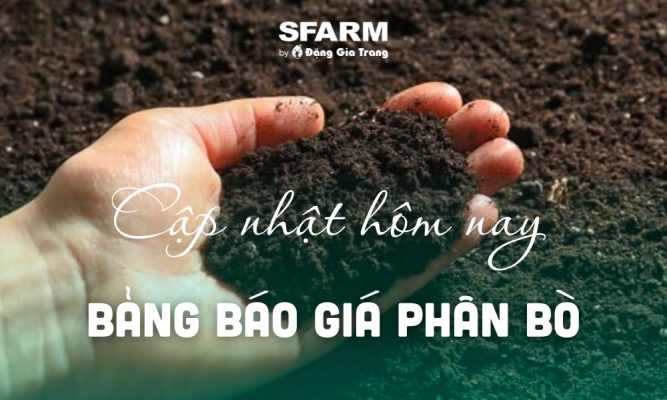 bang bao gia phan bo cap nhat hom nay moi nhat thumb