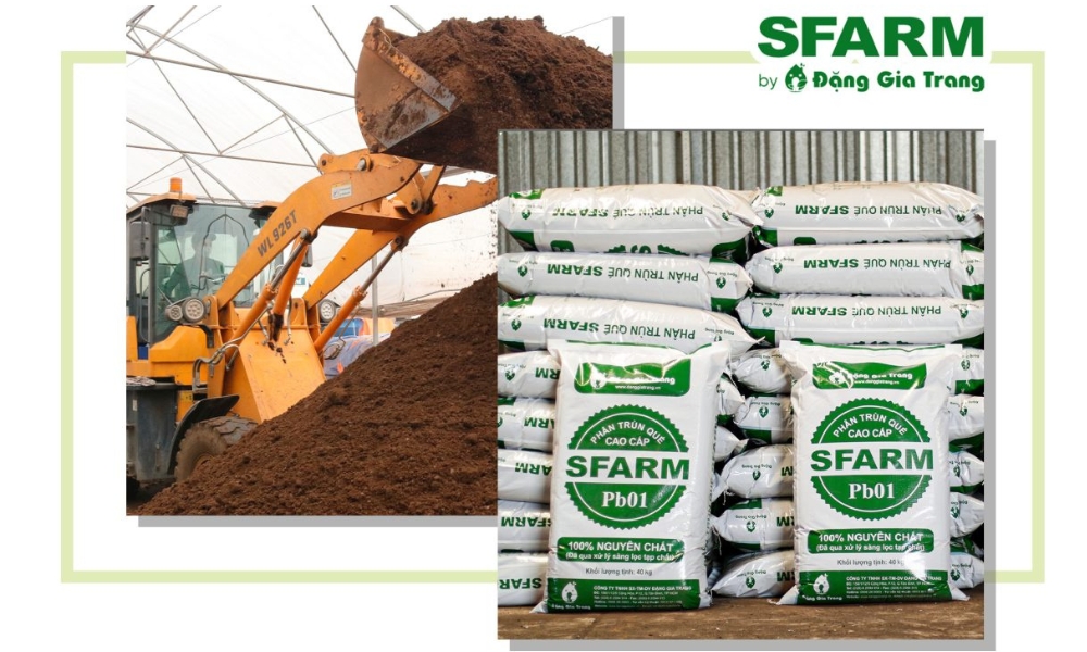 SFARM có giá các loại phân bón cây xanh hợp lý