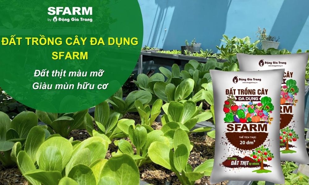 Bảng báo giá đất màu trồng cây tại SFARM phù hợp cho canh tác