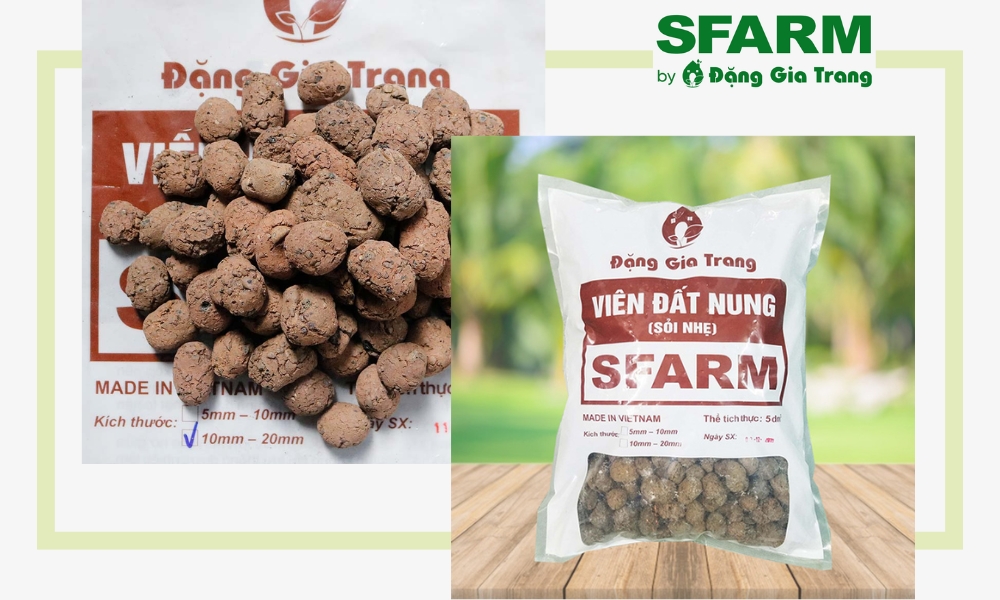 SFARM - là đơn vị cung cấp viên đất nung chất lượng 