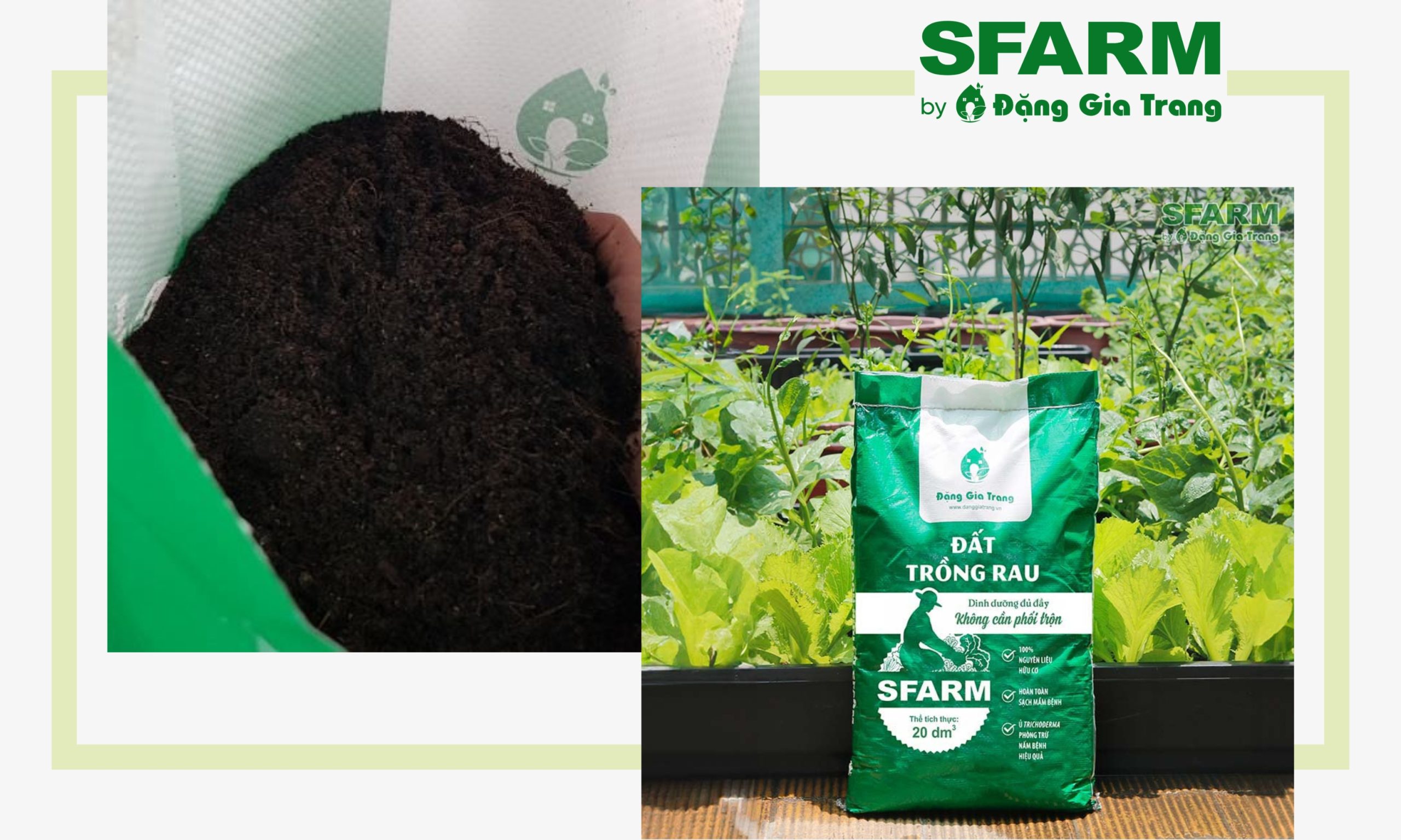 SFARM - là đơn vị  bán sỉ đất sạch trồng rau chất lượng 