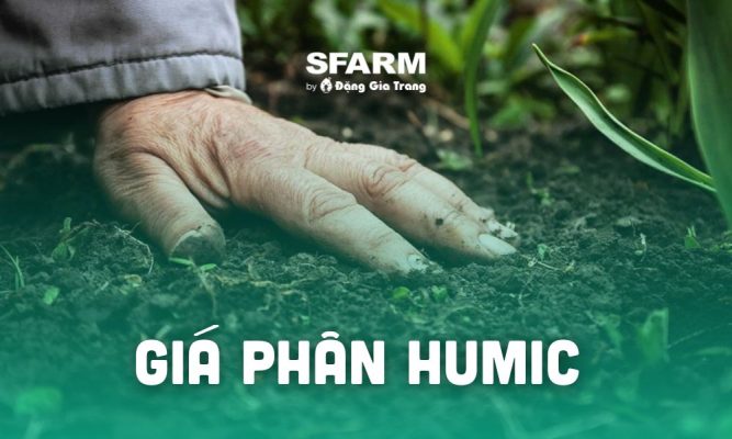 gia phan humic moi nhat cap nhat hom nay thumb