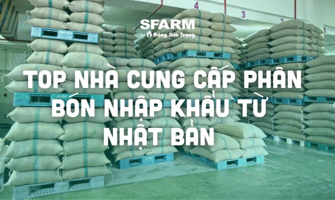 nha cung cap phan bon nhap khau tu nhat thumb